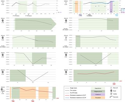 Whole-Genome Approach to Assessing Human Cytomegalovirus Dynamics in Transplant Patients Undergoing Antiviral Therapy